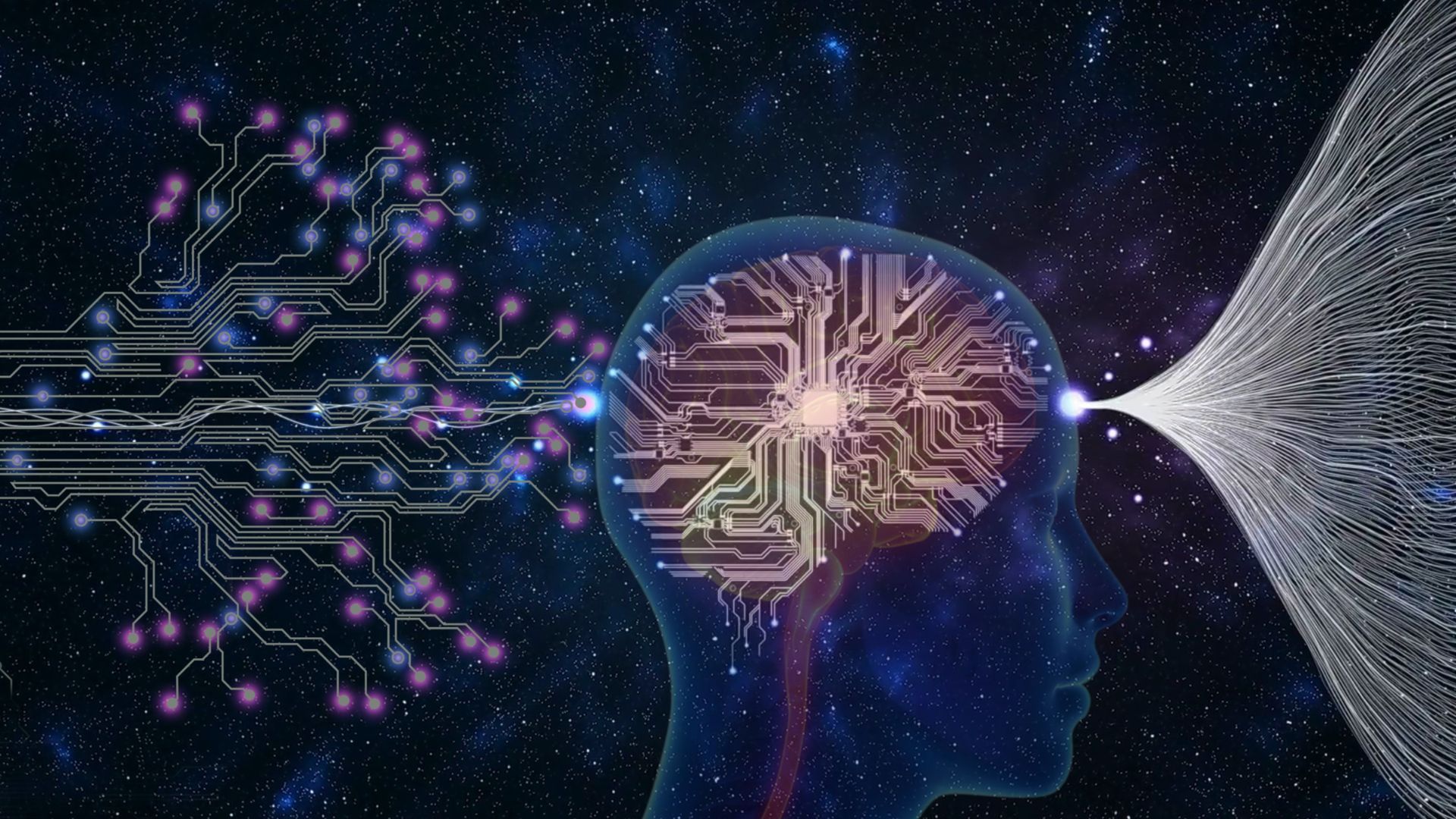 NLP A picture of a brain and electrical activity, showing that NLP can help you see life differently.